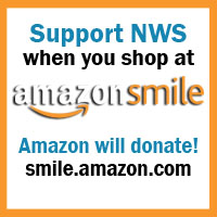 smile.amazon.com